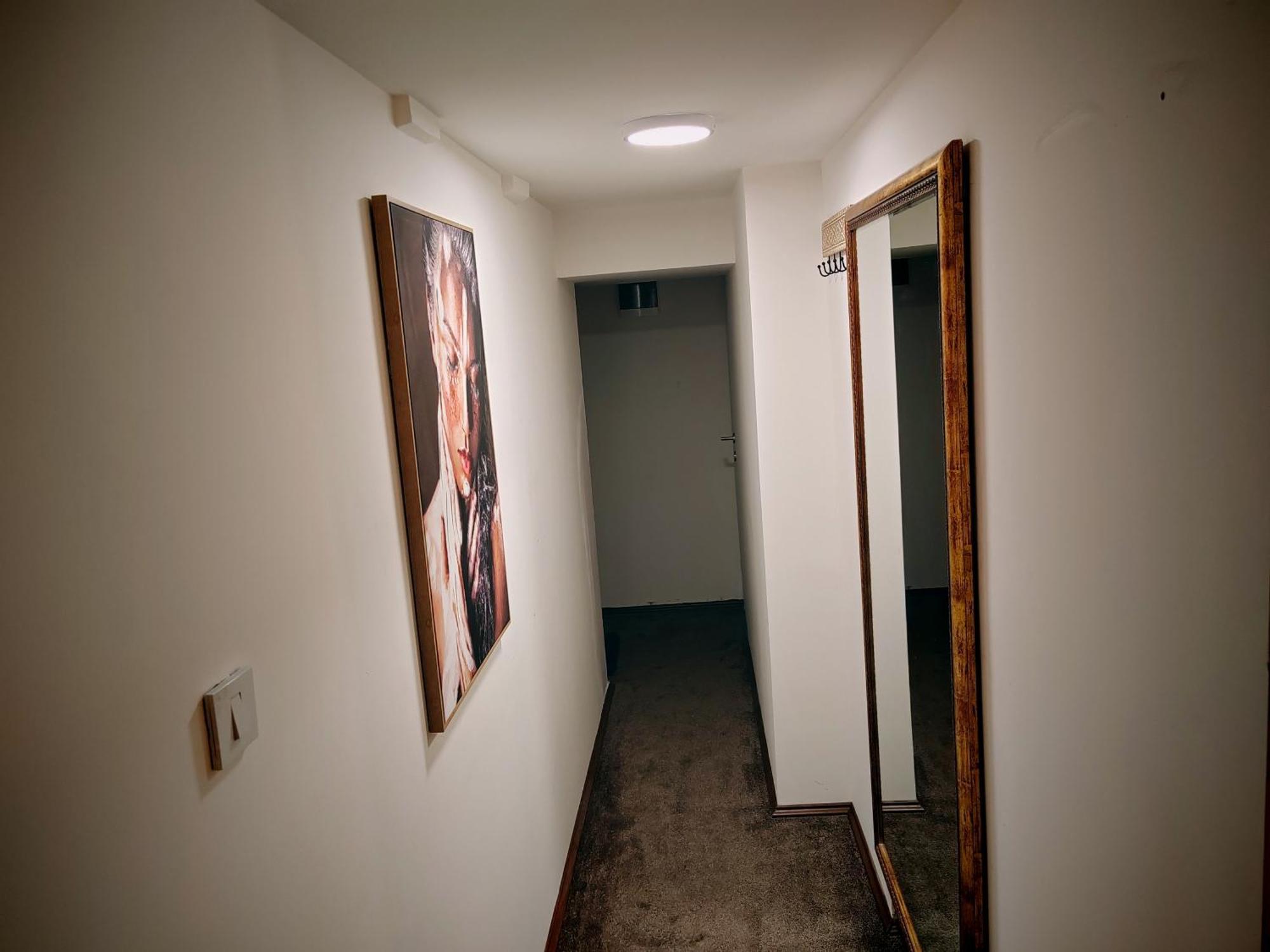 Stella Apartments بلغراد المظهر الخارجي الصورة
